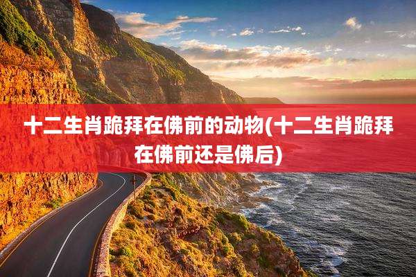 十二生肖跪拜在佛前的动物(十二生肖跪拜在佛前还是佛后)