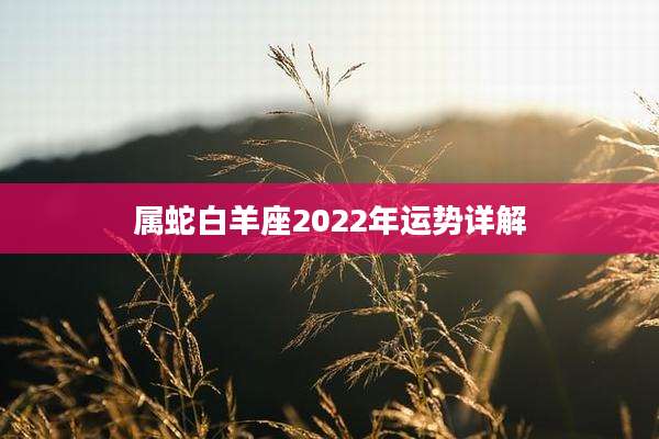 属蛇白羊座2022年运势详解