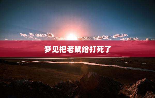 梦见把老鼠给打死了