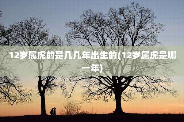 12岁属虎的是几几年出生的(12岁属虎是哪一年)
