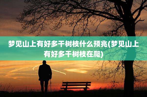 梦见山上有好多干树枝什么预兆(梦见山上有好多干树枝在爬)