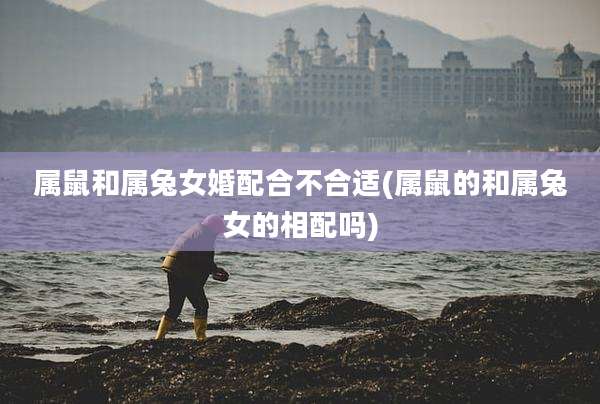 属鼠和属兔女婚配合不合适(属鼠的和属兔女的相配吗)