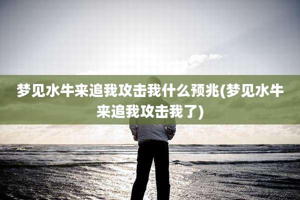 梦见水牛来追我攻击我什么预兆(梦见水牛来追我攻击我了)