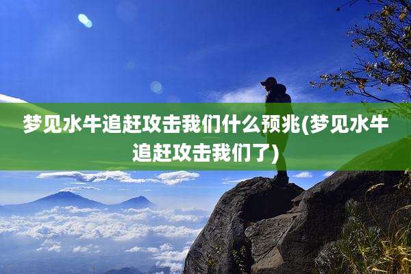 梦见水牛追赶攻击我们什么预兆(梦见水牛追赶攻击我们了)