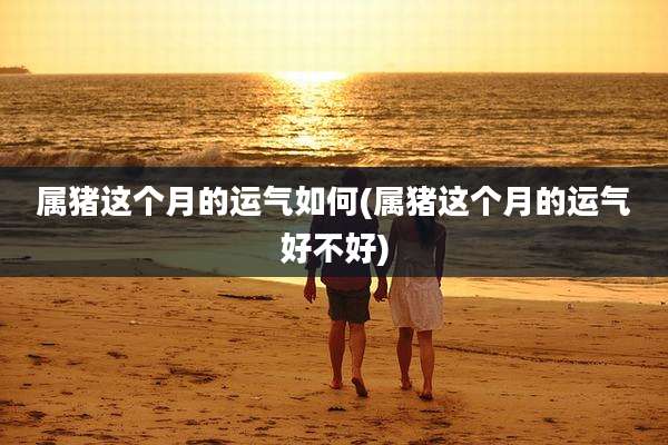 属猪这个月的运气如何(属猪这个月的运气好不好)