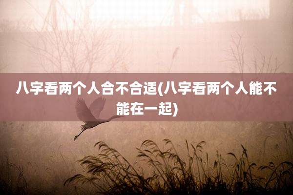 八字看两个人合不合适(八字看两个人能不能在一起)