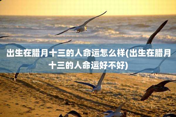出生在腊月十三的人命运怎么样(出生在腊月十三的人命运好不好)
