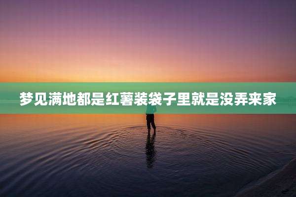 梦见满地都是红薯装袋子里就是没弄来家