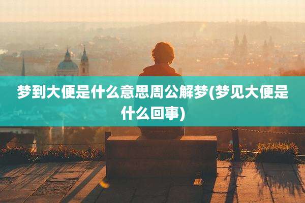 梦到大便是什么意思周公解梦(梦见大便是什么回事)