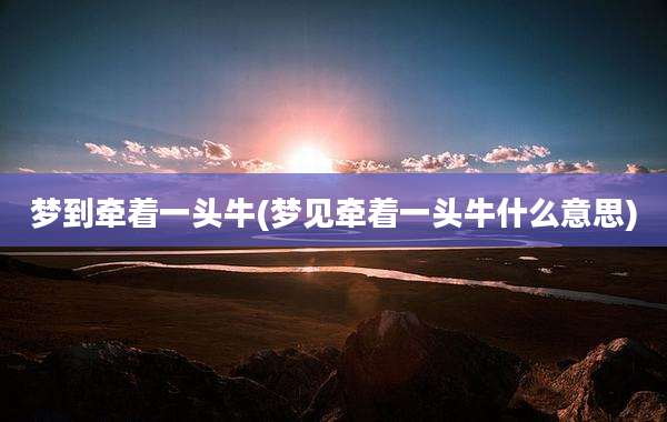 梦到牵着一头牛(梦见牵着一头牛什么意思)
