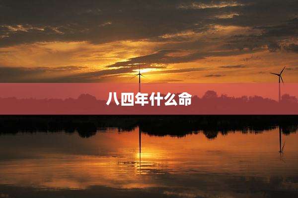 八四年什么命