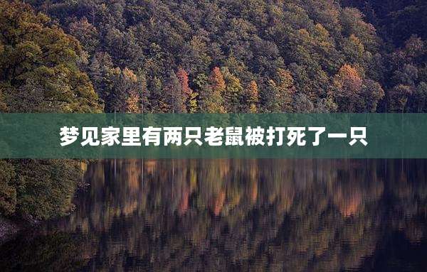 梦见家里有两只老鼠被打死了一只