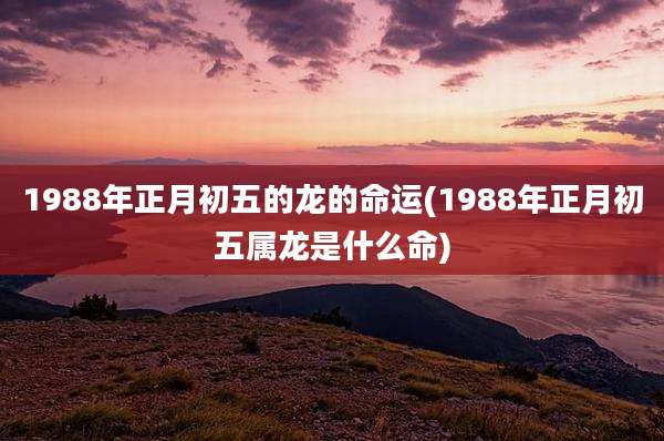 1988年正月初五的龙的命运(1988年正月初五属龙是什么命)