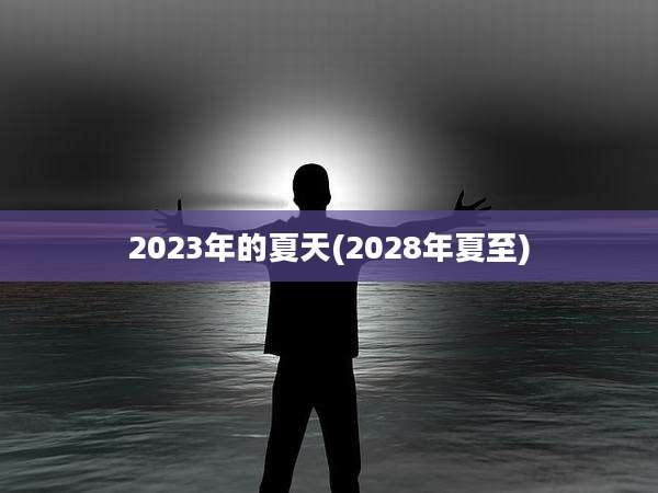 2023年的夏天(2028年夏至)