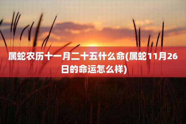 属蛇农历十一月二十五什么命(属蛇11月26日的命运怎么样)