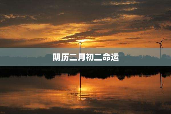 阴历二月初二命运