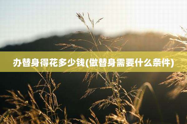 办替身得花多少钱(做替身需要什么条件)