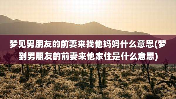 梦见男朋友的前妻来找他妈妈什么意思(梦到男朋友的前妻来他家住是什么意思)