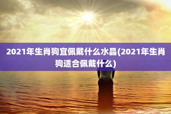 2021年生肖狗宜佩戴什么水晶(2021年生肖狗适合佩戴什么)
