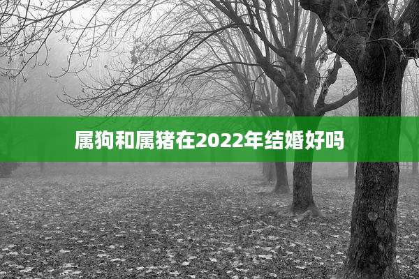 属狗和属猪在2022年结婚好吗
