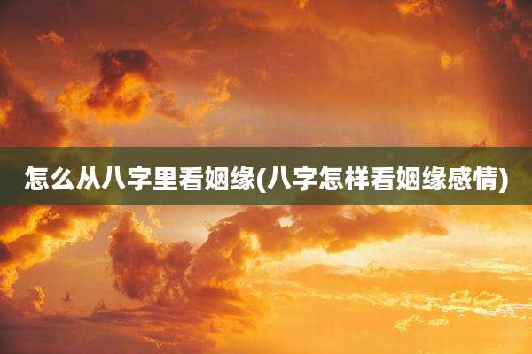 怎么从八字里看姻缘(八字怎样看姻缘感情)
