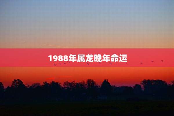 1988年属龙晚年命运