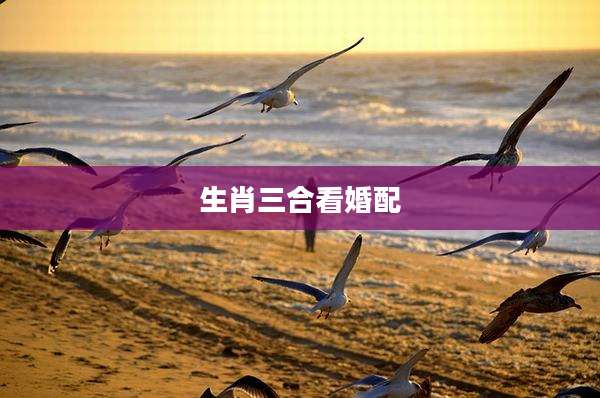 生肖三合看婚配
