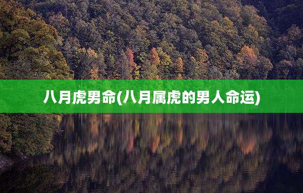 八月虎男命(八月属虎的男人命运)