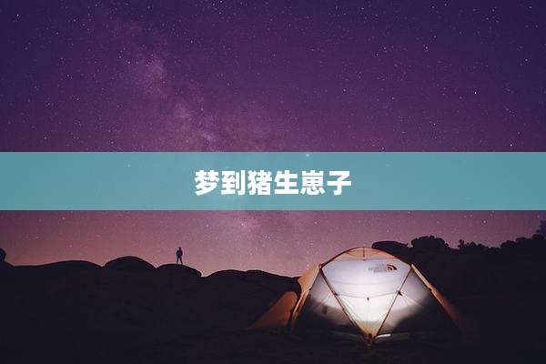 梦到猪生崽子