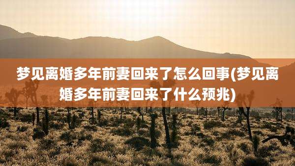 梦见离婚多年前妻回来了怎么回事(梦见离婚多年前妻回来了什么预兆)