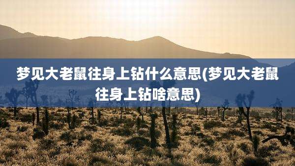 梦见大老鼠往身上钻什么意思(梦见大老鼠往身上钻啥意思)