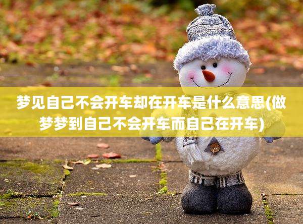 梦见自己不会开车却在开车是什么意思(做梦梦到自己不会开车而自己在开车)