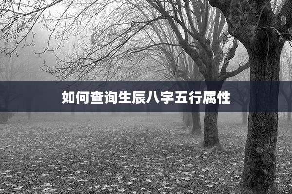 如何查询生辰八字五行属性