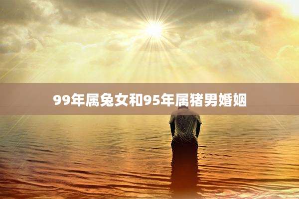 99年属兔女和95年属猪男婚姻