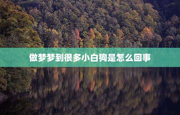 做梦梦到很多小白狗是怎么回事