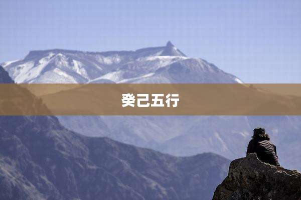 癸己五行