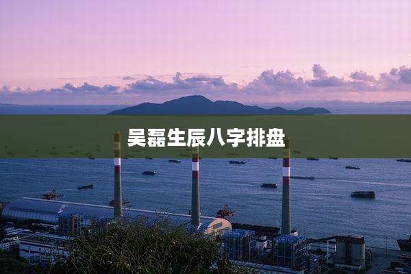 吴磊生辰八字排盘