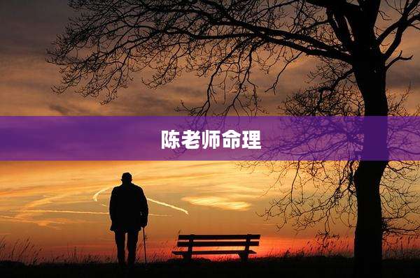 陈老师命理