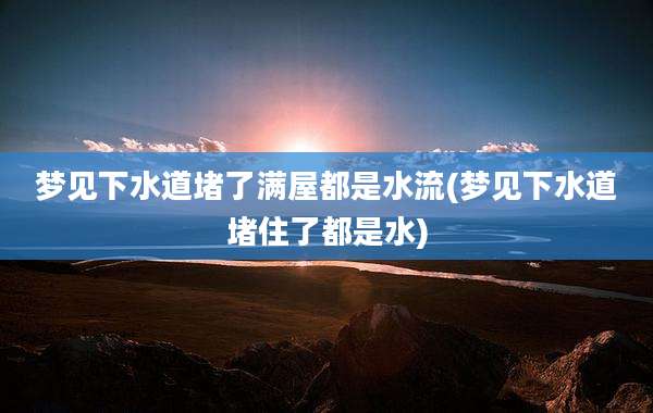 梦见下水道堵了满屋都是水流(梦见下水道堵住了都是水)