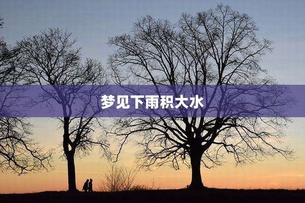 梦见下雨积大水