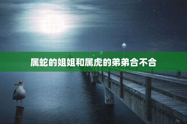 属蛇的姐姐和属虎的弟弟合不合