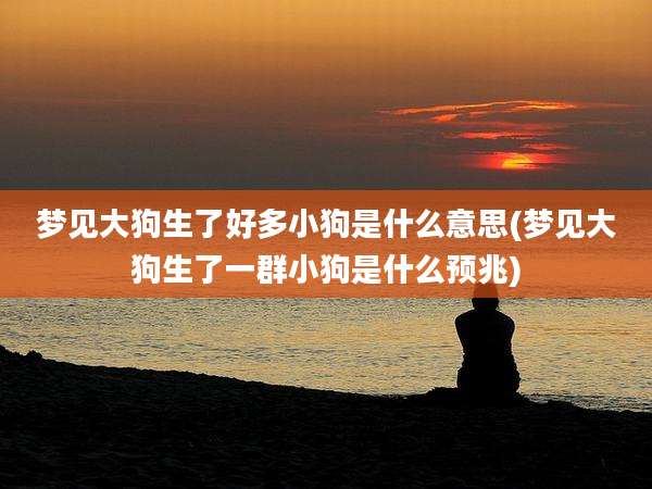 梦见大狗生了好多小狗是什么意思(梦见大狗生了一群小狗是什么预兆)