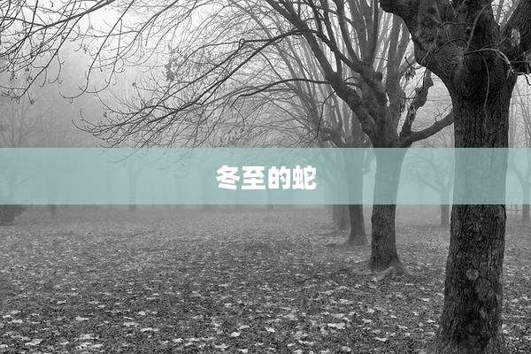 冬至的蛇
