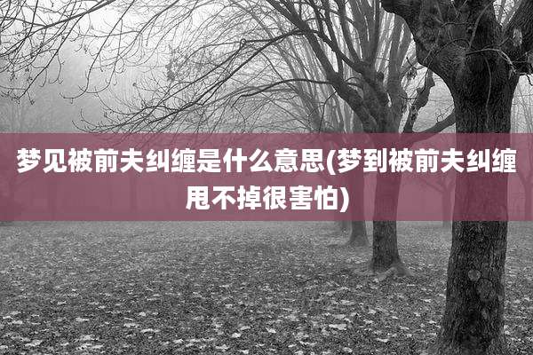 梦见被前夫纠缠是什么意思(梦到被前夫纠缠甩不掉很害怕)