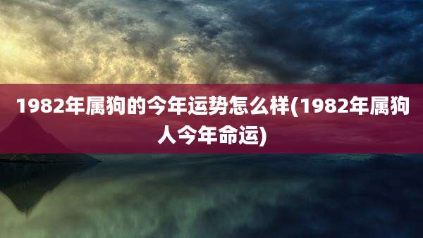 1982年属狗的今年运势怎么样(1982年属狗人今年命运)