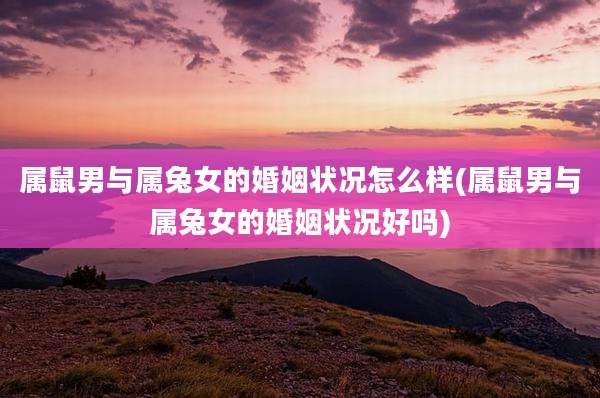 属鼠男与属兔女的婚姻状况怎么样(属鼠男与属兔女的婚姻状况好吗)