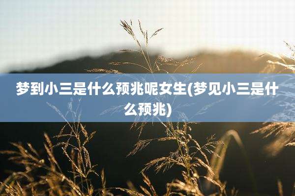 梦到小三是什么预兆呢女生(梦见小三是什么预兆)