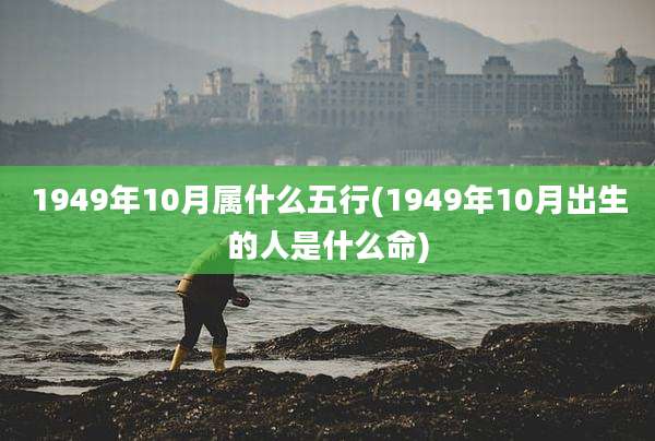 1949年10月属什么五行(1949年10月出生的人是什么命)