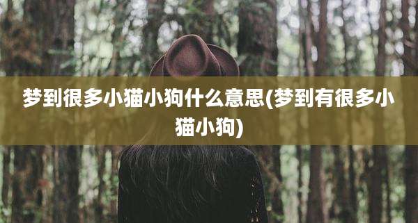 梦到很多小猫小狗什么意思(梦到有很多小猫小狗)
