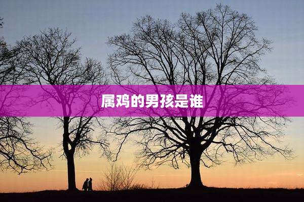 属鸡的男孩是谁